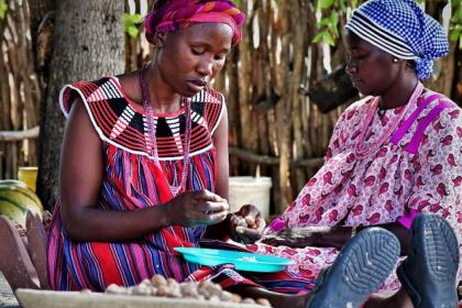 En Namibie rurale, des femmes tirent profit d’un commerce respectueux de la biodiversité