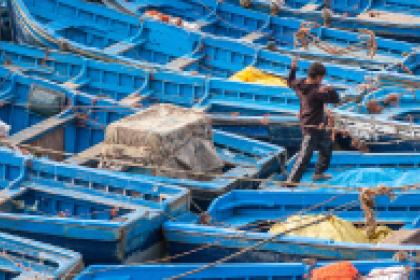 COVID-19 offers opportunities to make fishing industries more sustainable