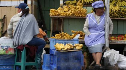 A fruit seller in Saqisilli, Ecuador