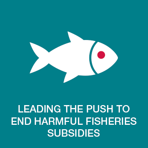 LEADING THE PUSH TO END HARMFUL FISHERIES SUBSIDIES