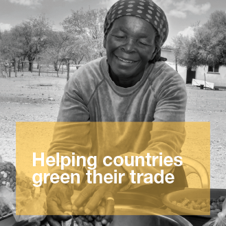 Helping countries green their trade
