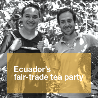 Ecuador's fair-trade tea party