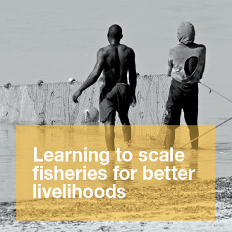 Learning to scale fisheries for better livelihoods