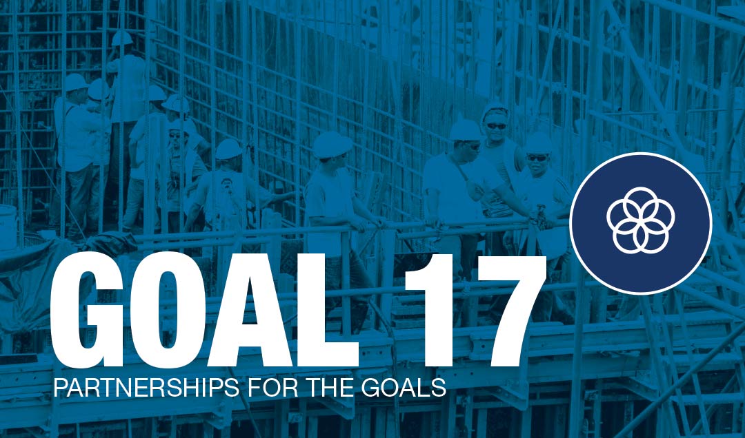 Goal 17