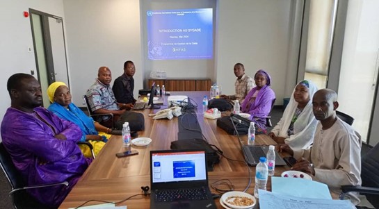 DMFAS training in Niger