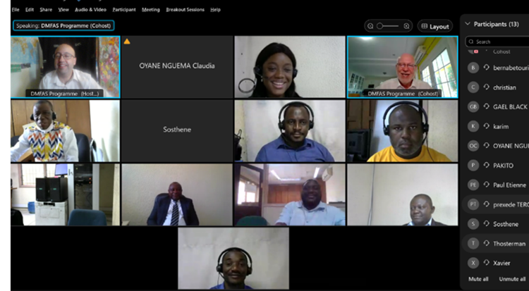 Gabon online DMFAS training