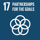 SDG17