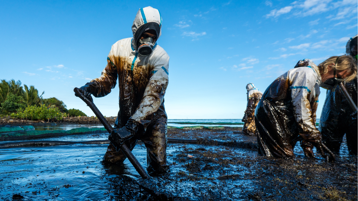 Volunteers clean the shoreline from oil after a tanker wreck off the coast of Mauritius