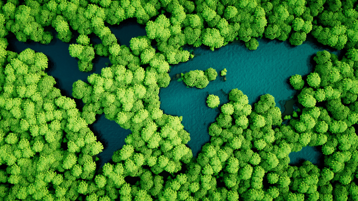 Trees depicting the map of the world