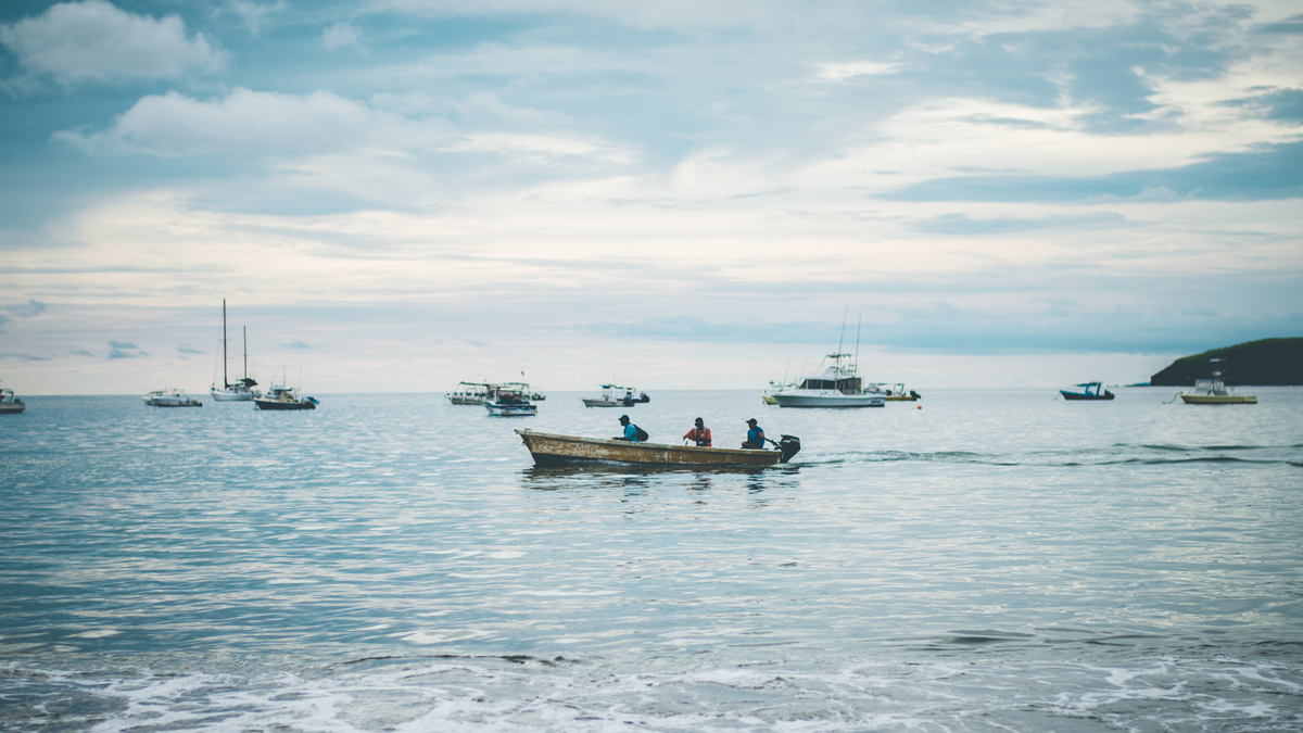 Experiencias en el uso de signos distintivos y sistemas de trazabilidad en el sector pesquero para Costa Rica