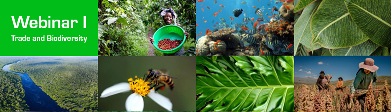 Trade and Biodiversity Webinar I – Sustainable guidelines for biodiversity