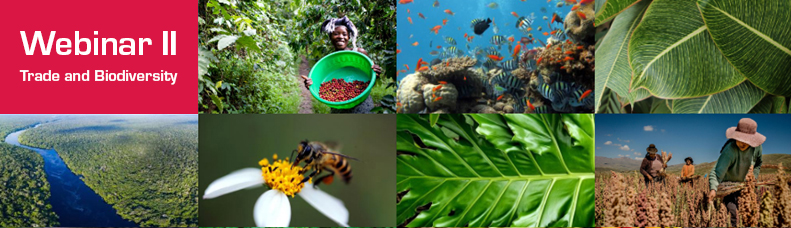 Trade and Biodiversity Webinar II: Sustainable guidelines for biodiversity-based value chains in Latin America and the Caribbean