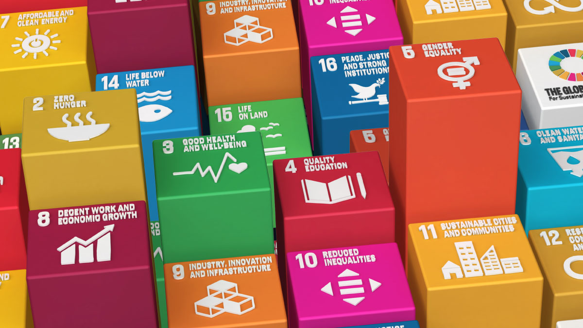 The sustainable development goals