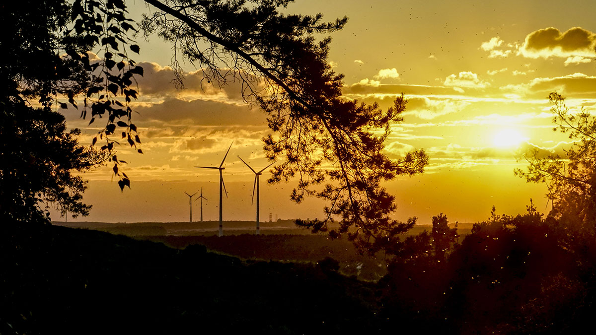 Windfarm in silhouette of sunset