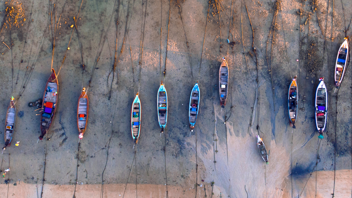 Fishing boats