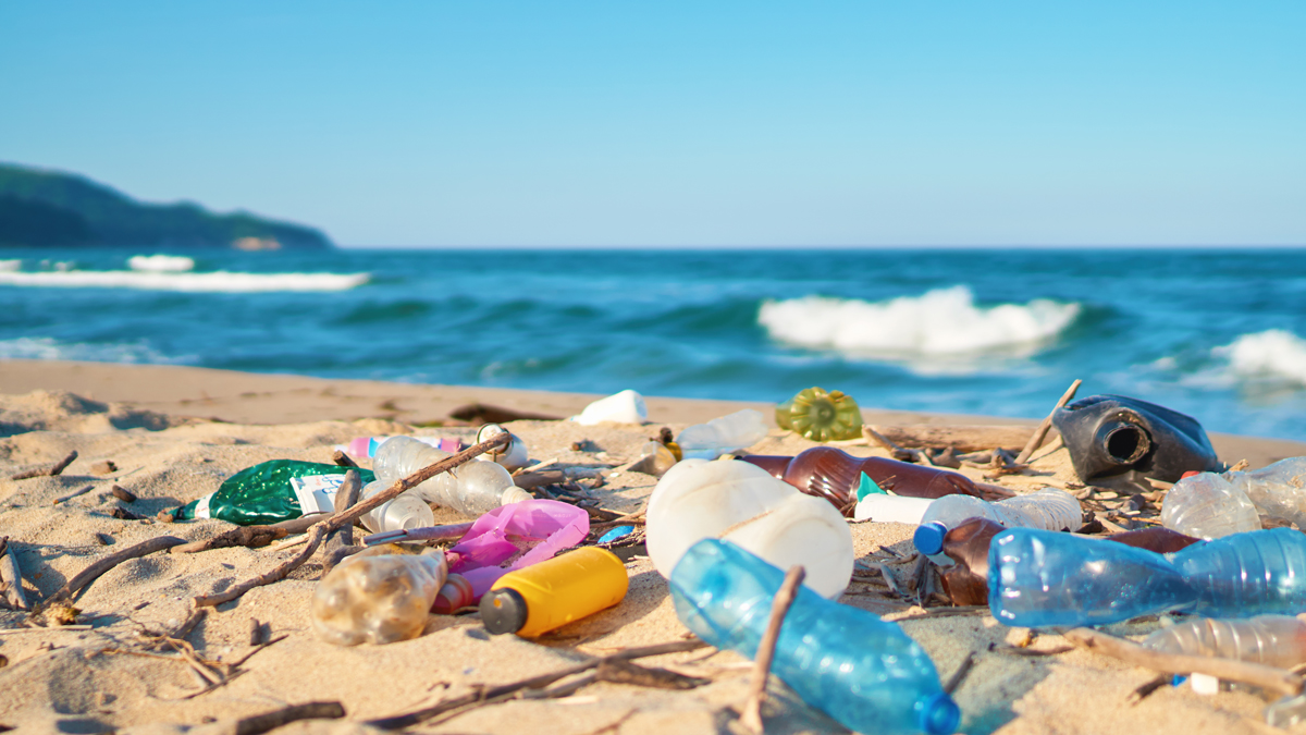 Webinar on promoting substitutes and alternatives to plastics for clean waters and sustainable economic development in the Caribbean Basin