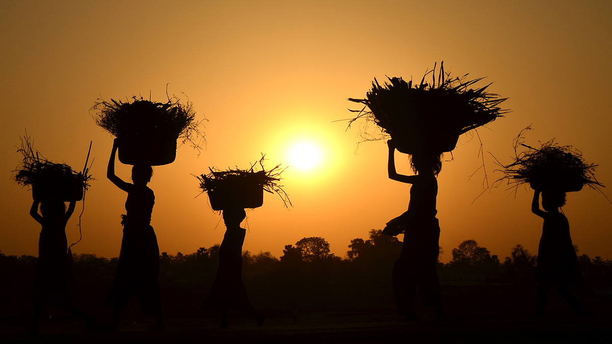 African woman in sunset silohouette carrying firewood