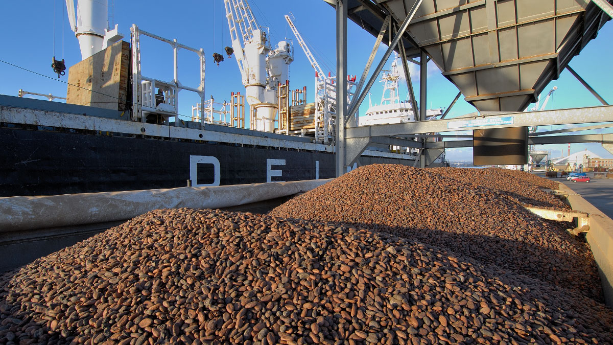 More than 100 countries depend on commodity exports | UNCTAD