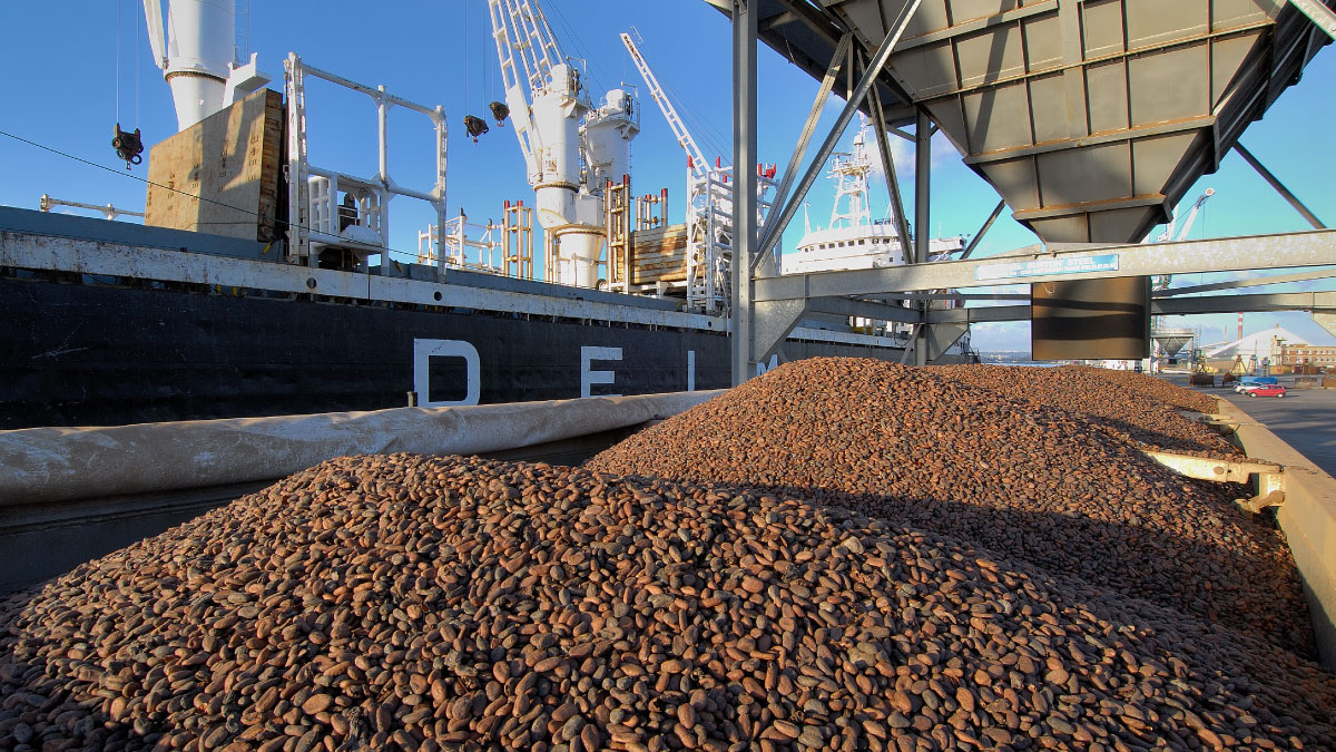 Port of Rouen, France. Unloading of cocoa in bulk from Ivory Coast. 