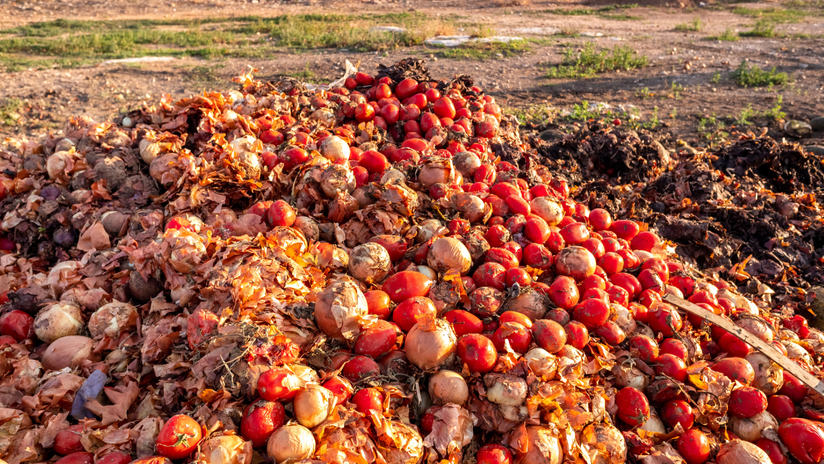 Fighting food waste in the produce aisle