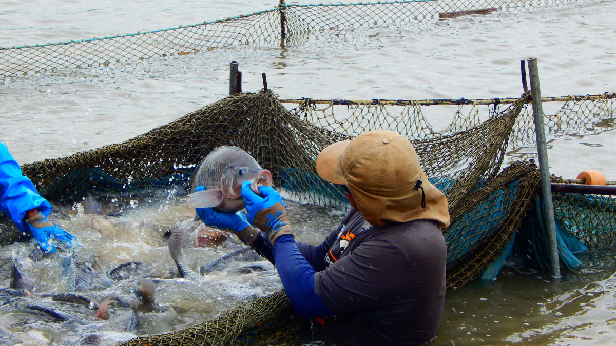 Costa Rican fisherman