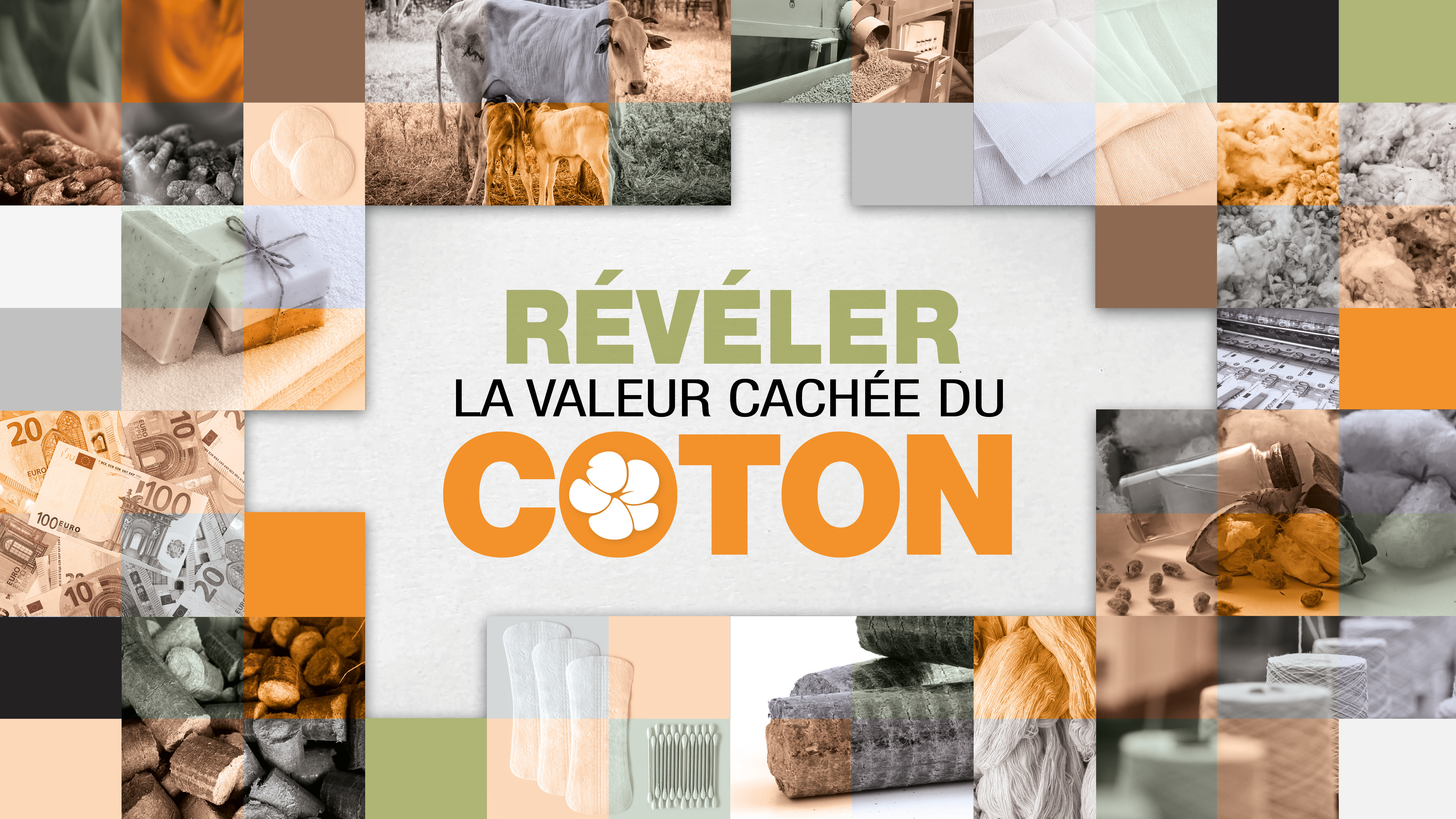 Atelier de validation sur le développement des coproduits du coton au Togo