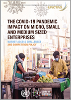 Micro-, Small and Medium-sized Enterprises (MSMEs)