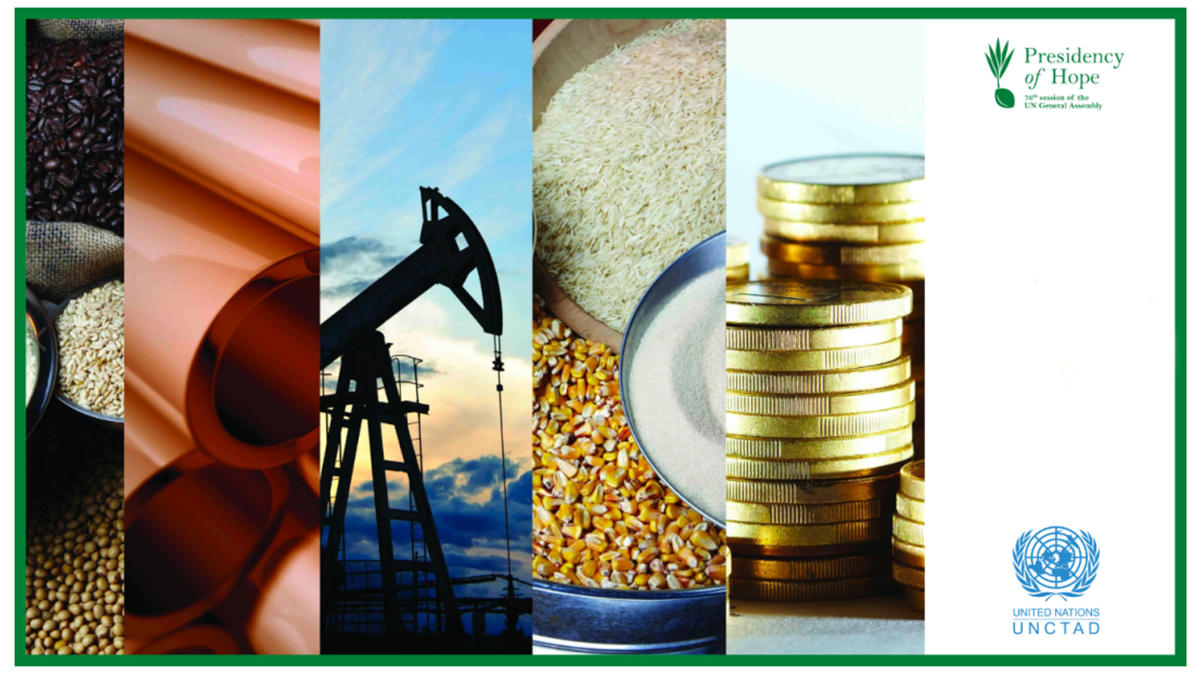 Informal interactive dialogue on commodity markets