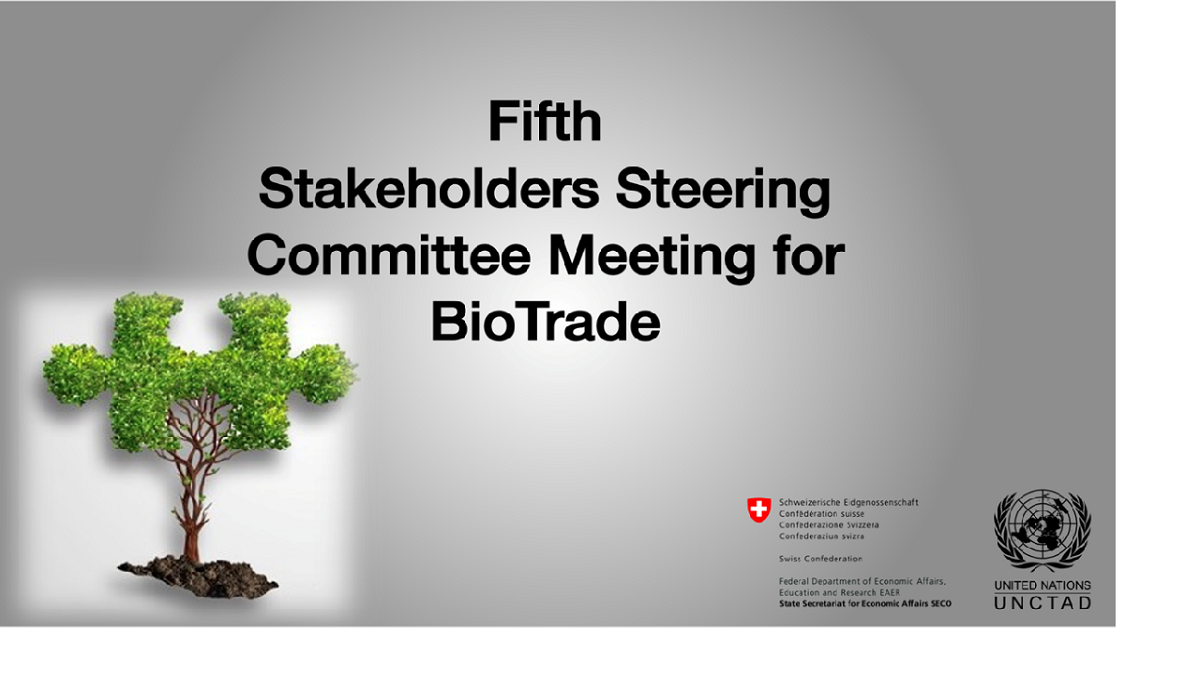 Fifth Stakeholders Steering Committee Meeting for BioTrade (Session 1): Session on the post-2020 global biodiversity framework
