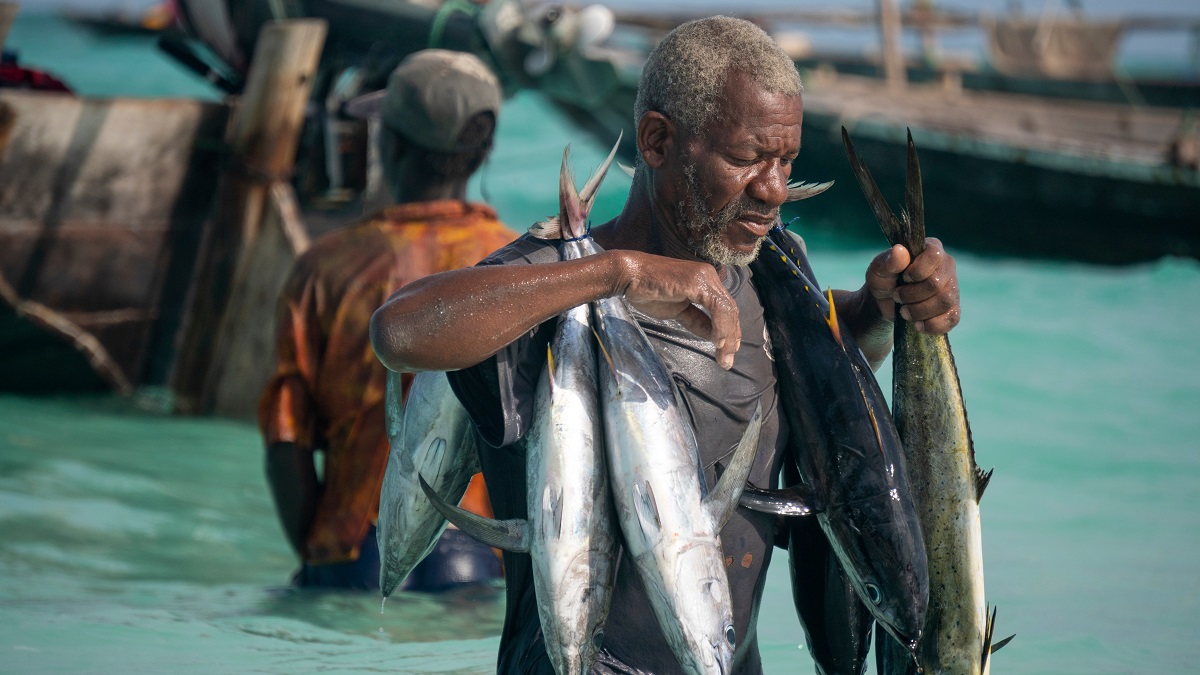 A fisherman in Zanzibar, Tanzania