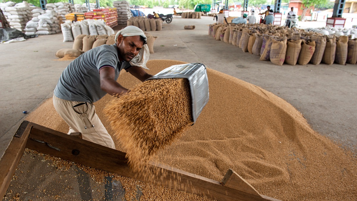 A worker separates wheat in a warehouse in India