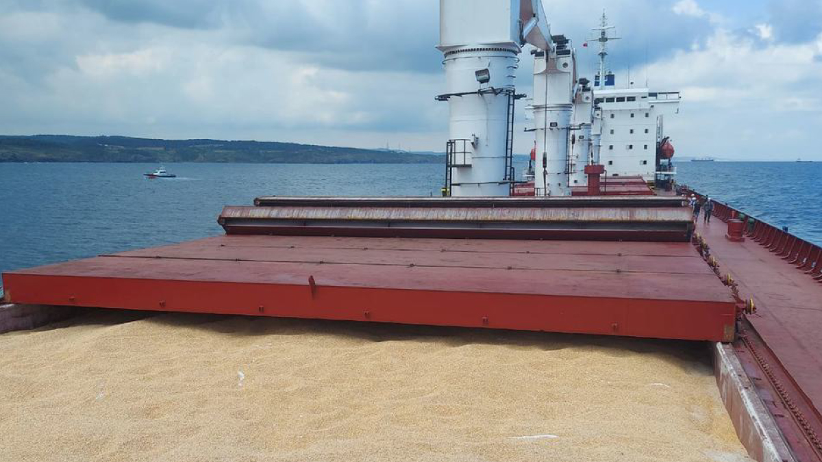 A vessel transports grain from Ukraine under the Black Sea Grain Initiative