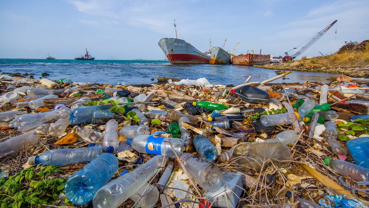 Plastic pollution washes ashore near the Panama Canal.