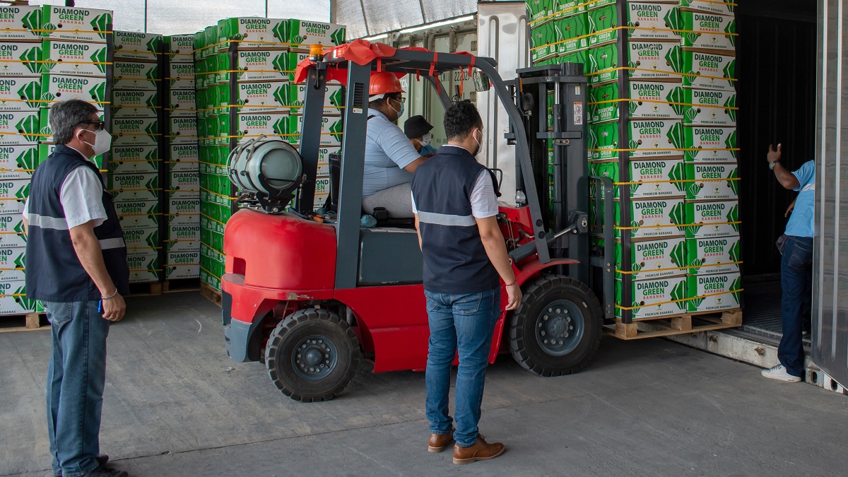 Logistic workers lift banana boxes into a container in El Oro, Ecuador.