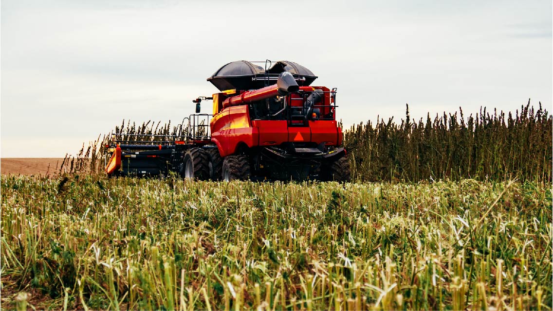 Workshop on industrial hemp