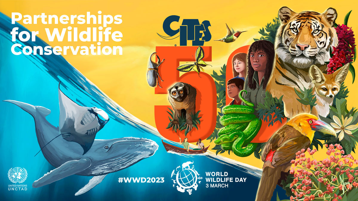 Geneva World Wildlife Day Celebration 50 Years Of Partnerships For   Ditc Ted 03032023 Wwwd2023 Logos 2 