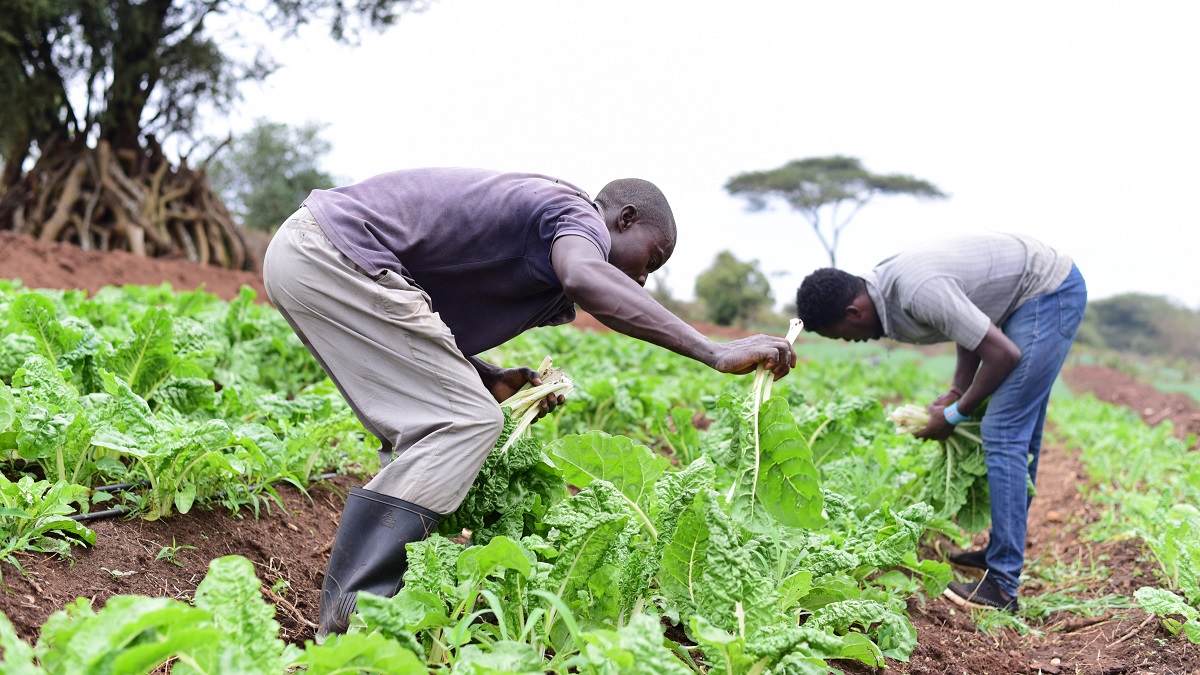 Agriculture