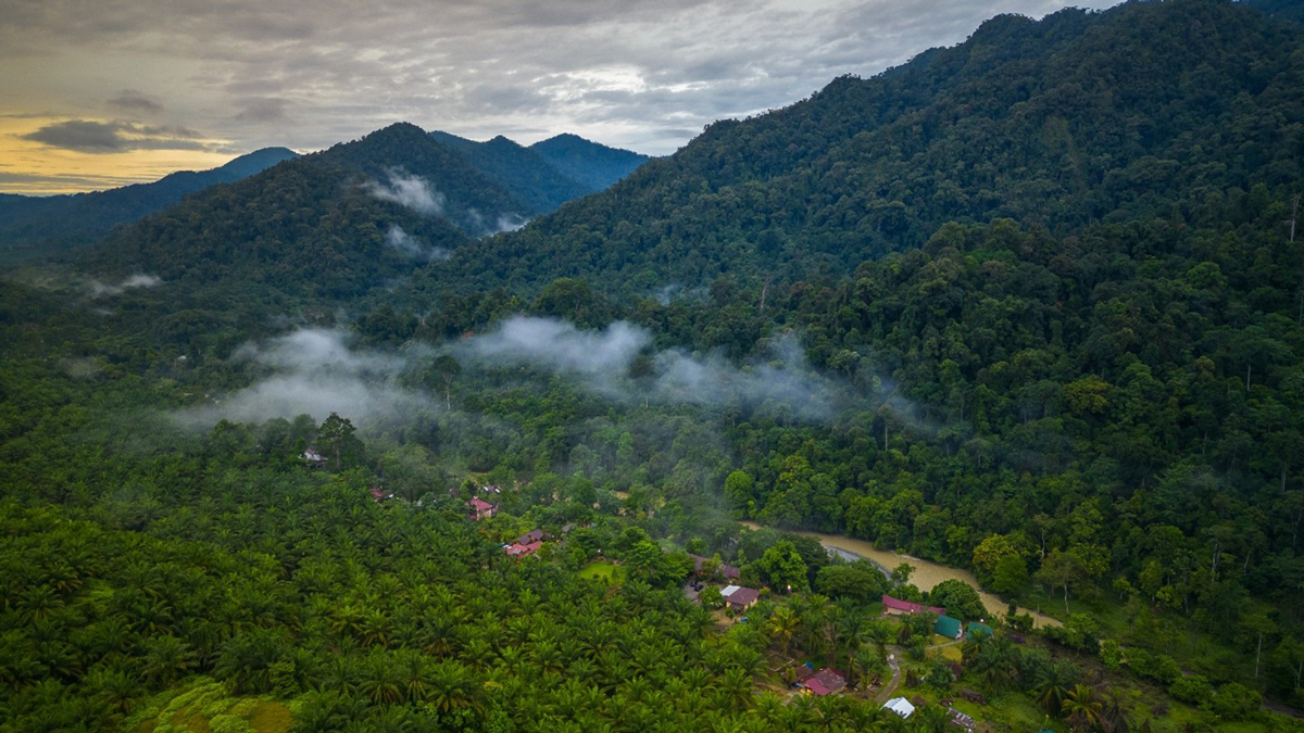 Regional Stakeholders Consultation in Asia: A nature-positive trade for sustainable agriculture supply chains and inclusive development