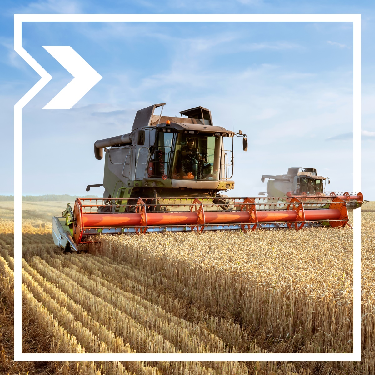 A tractor plows through a wheat field