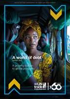 Cover image for A world of debt 2024 report