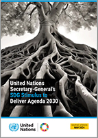 Cover image for United Nations Secretary-General’s SDG Stimulus to Deliver Agenda 2030