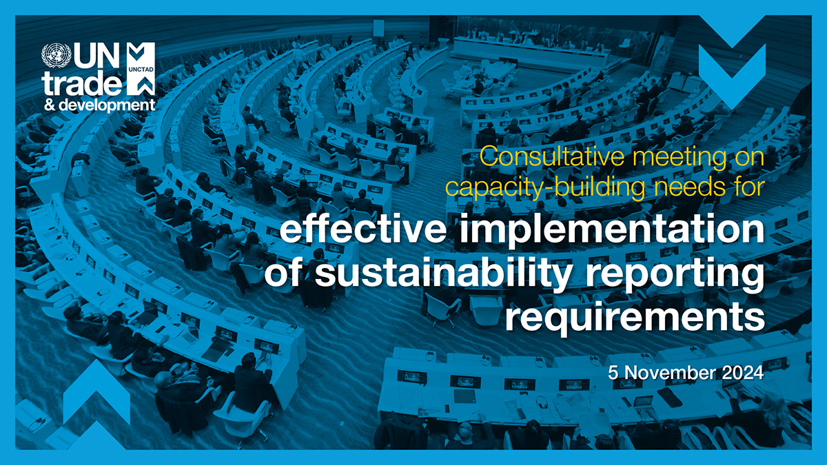 Consultative meeting on capacity-building needs for effective implementation of sustainability reporting requirements