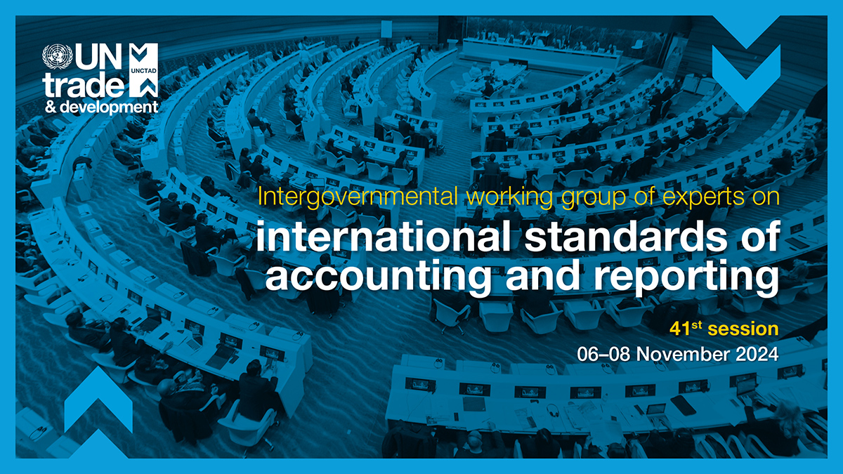 Intergovernmental working group of experts on international standards of accounting and reporting, 41st session