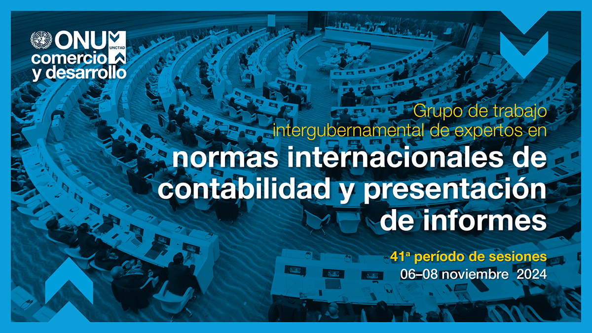 Grupo de trabajo intergubernamental de expertos en normas internacionales de contabilidad y presentación de informes, 41ª período de sesiones