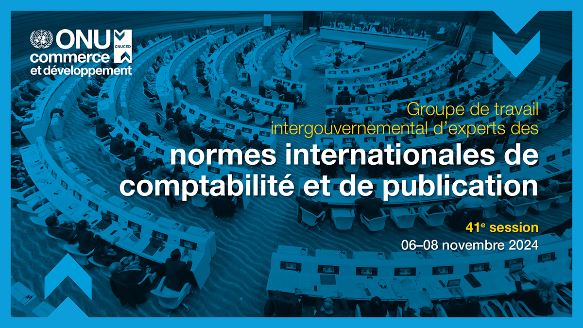Groupe de travail intergouvernemental d'experts des normes internationales de comptabilité et de publication, 41e session