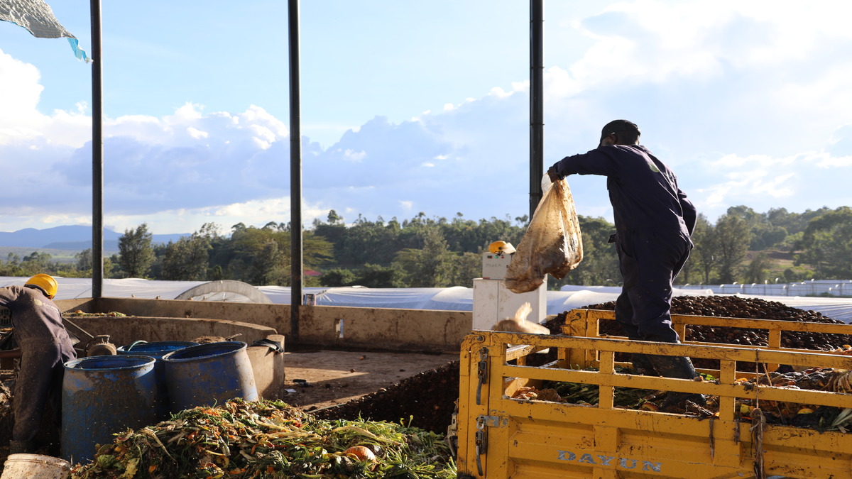 Thinking outside the sink:  Driving sustainable organic pollution-control strategies through trade