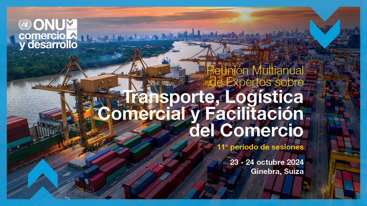 Reunión Multianual de Expertos sobre Transporte, Logística Comercial y Facilitación del Comercio, undécimo período de sesiones