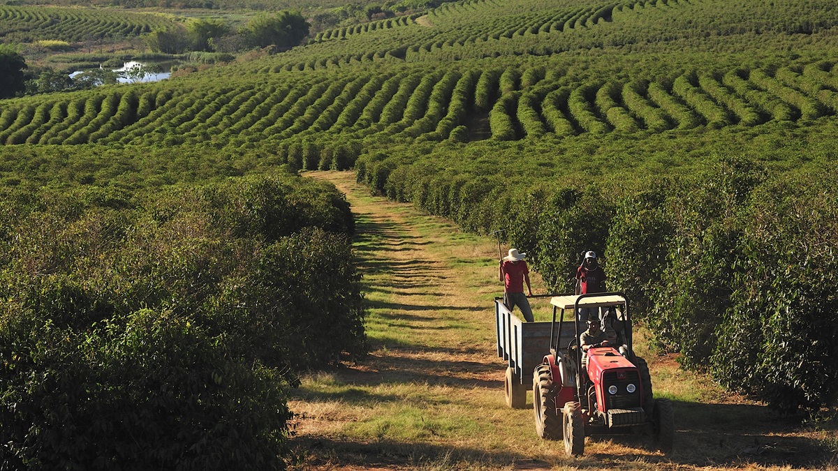 Legal and sustainable trade helps protect biodiversity and improve livelihoods.