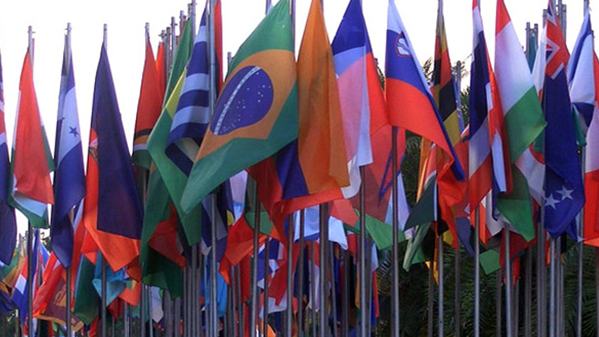 Briefing on the Trade Days organized at both United Nations biodiversity and climate change conferences, CBD COP16 and COP29