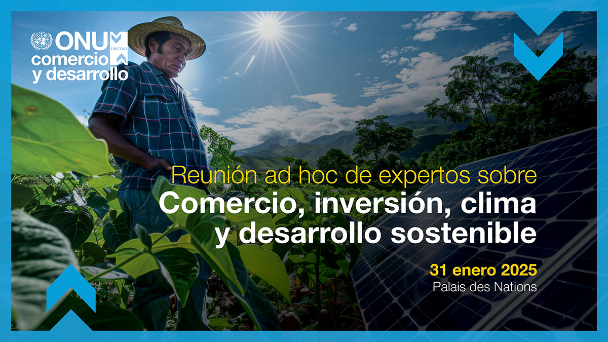 Reunión ad hoc de expertos sobre comercio, inversión, clima y desarrollo sostenible